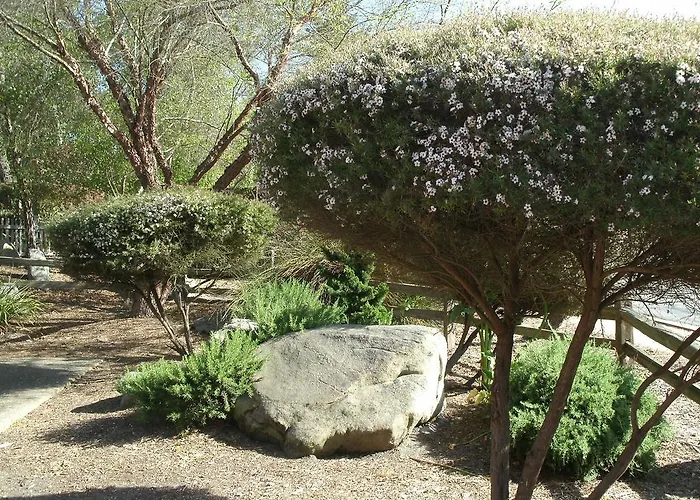 Rosedale Inn