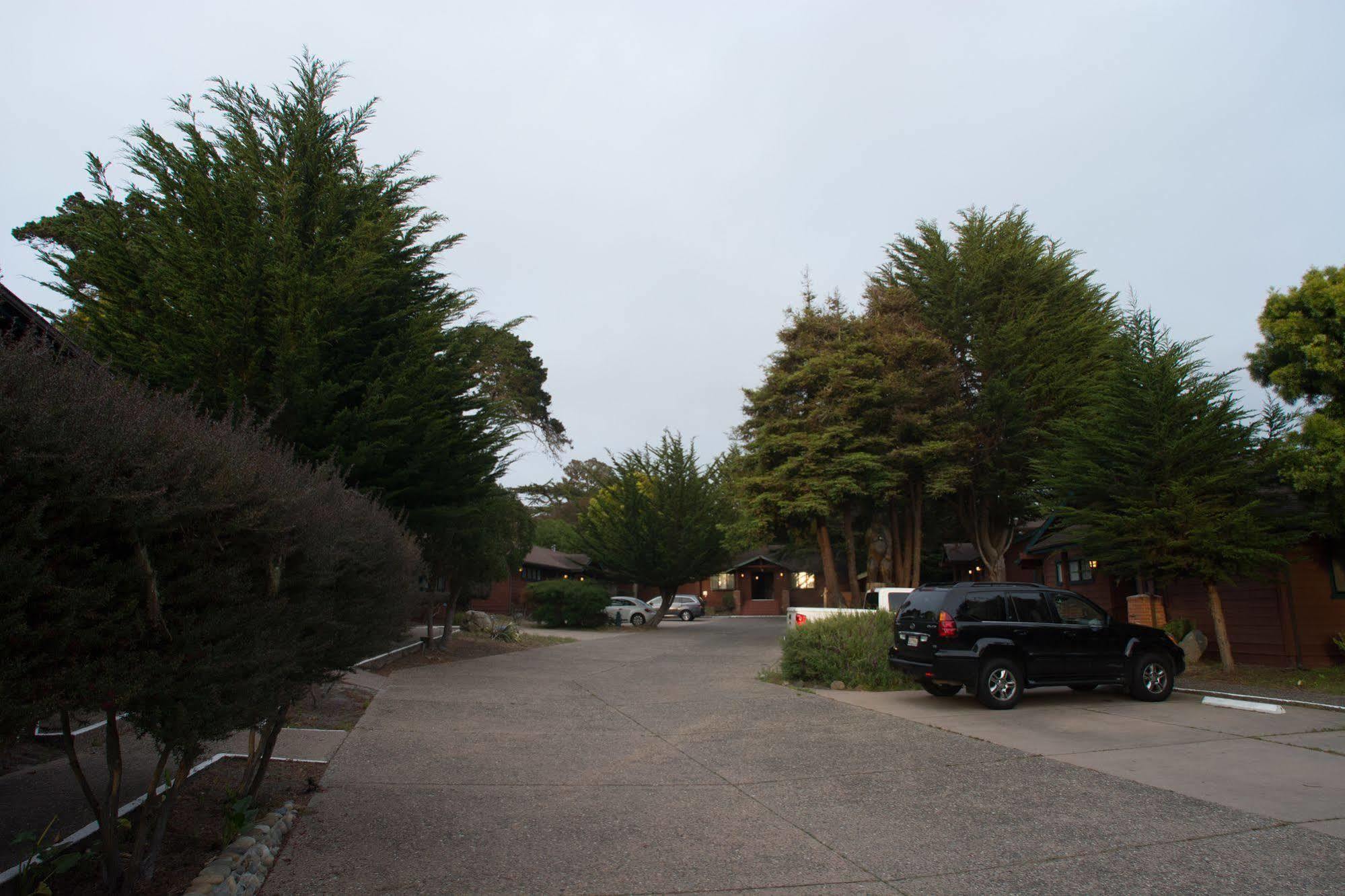 Rosedale