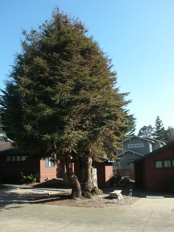 Rosedale Hotel Pacific Grove