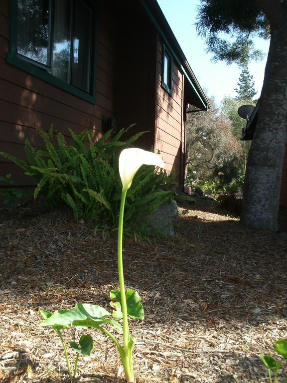 Hotel Rosedale Pacific Grove